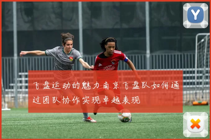 飞盘运动的魅力南京飞盘队如何通过团队协作实现卓越表现