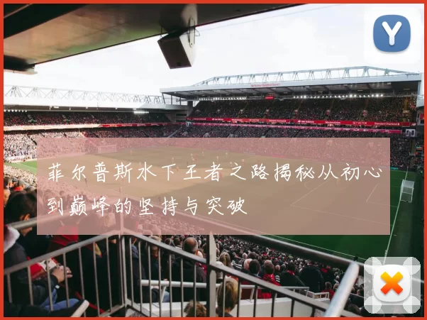 菲尔普斯水下王者之路揭秘从初心到巅峰的坚持与突破