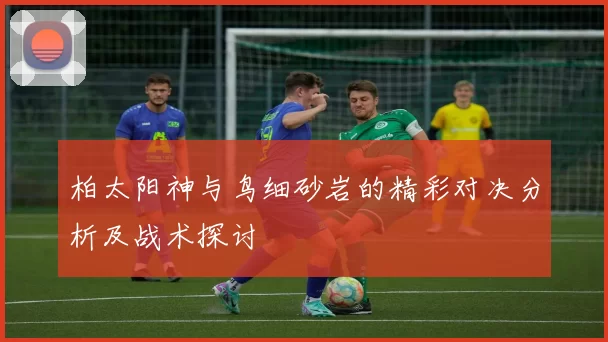 柏太阳神与鸟细砂岩的精彩对决分析及战术探讨