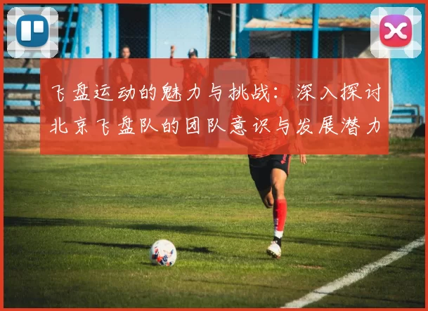 飞盘运动的魅力与挑战：深入探讨北京飞盘队的团队意识与发展潜力
