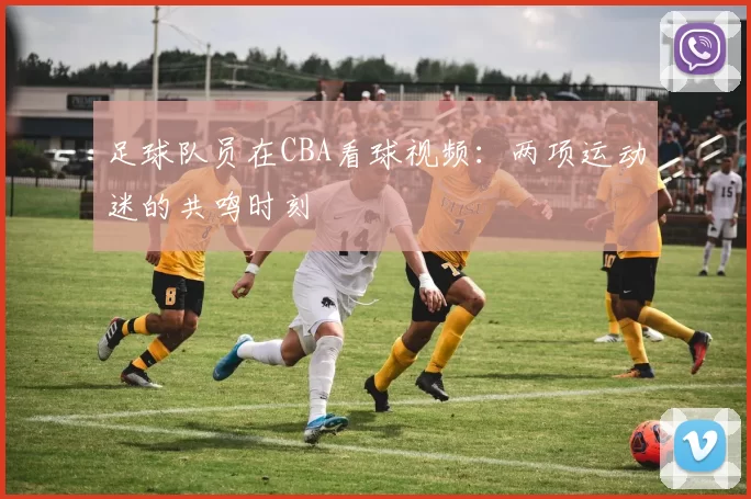 足球队员在CBA看球视频：两项运动迷的共鸣时刻