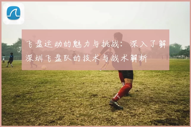 飞盘运动的魅力与挑战：深入了解深圳飞盘队的技术与战术解析