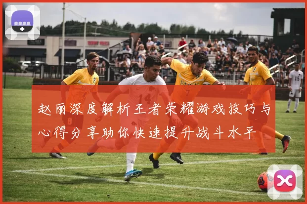 赵丽深度解析王者荣耀游戏技巧与心得分享助你快速提升战斗水平